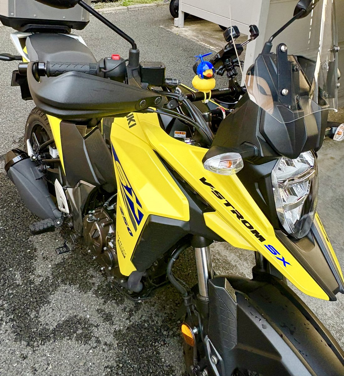1207djdj's tweet photo. バイクに乗り、バイクを洗う週末 https://t.co/SauAwLSfLi