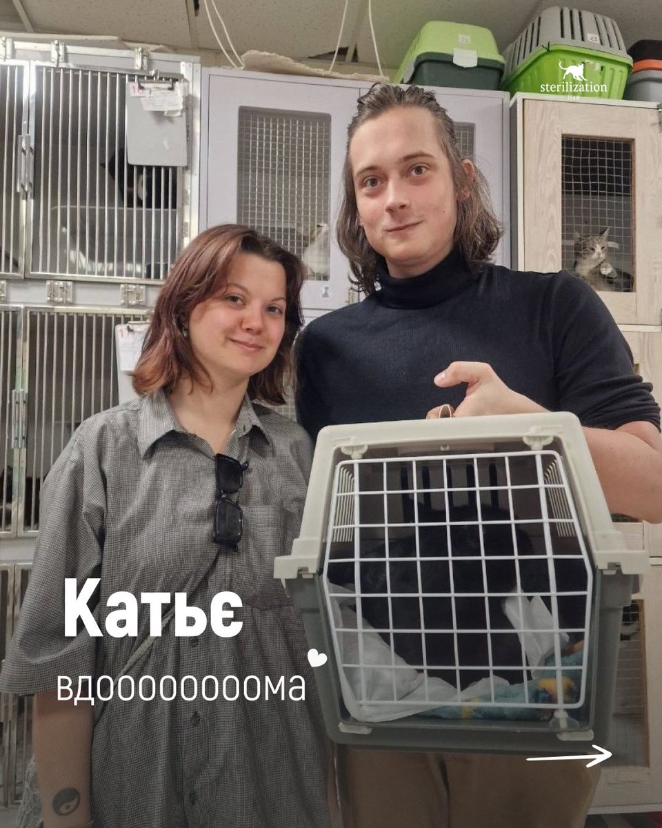 SterilizationT's tweet photo. Найкращі новини🐾✨
Кожен котик на власному дивані — врятоване життя. Дякуємо, що допомагаєте нам рятувати наступних! 💛💙
***
Підтримати безпритульних котиків👇
🔗https://t.co/4JhPlW6upH
#київ #sterilizationteam #котики #вдома #притулок https://t.co/aYk3P3wffF