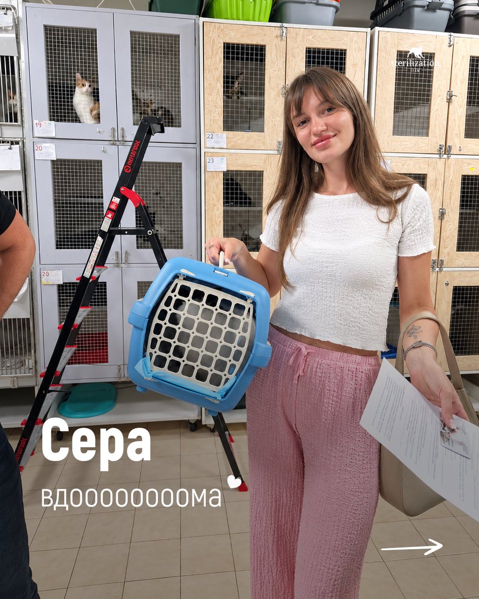 SterilizationT's tweet photo. Найкращі новини🐾✨
Кожен котик на власному дивані — врятоване життя. Дякуємо, що допомагаєте нам рятувати наступних! 💛💙
***
Підтримати безпритульних котиків👇
🔗https://t.co/4JhPlW6upH
#київ #sterilizationteam #котики #вдома #притулок https://t.co/aYk3P3wffF