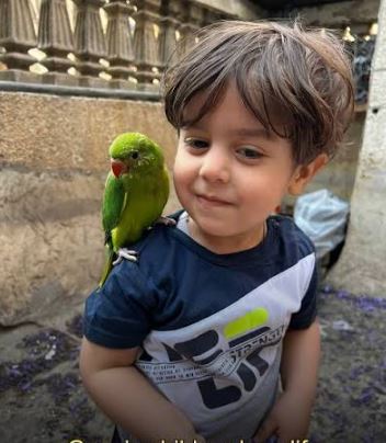 Rafael_Narbona's tweet photo. Osama es uno de los 64.000 niños asesinados por Israel. Murió durante un bombardeo con su madre y sus queridas cotorras en agosto de 2024. Vox ha anunciado que si gobierna con el PP, presionará para que se revoque el reconocimiento del Estado palestino y apoyará incondicionalmente al gobierno de Netanyahu en sus campañas militares en Gaza y Cisjordania. La vileza de la ultraderecha desborda cualquier límite.