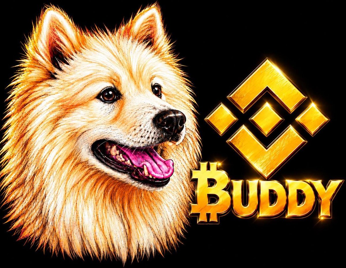 Soladefi's tweet photo. @Core_002 Even 100x potential 
$BUDDY still stands above all.
Ca:
0x4E0026B2A27F60CD7eD8BB71F9489501B1F87777
@BuddyonBNB https://t.co/cra9YBkUXN