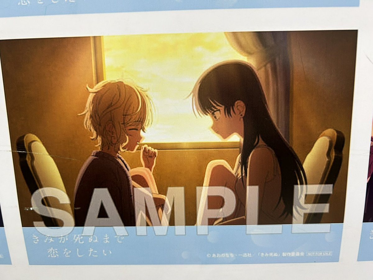 adashimalove's tweet photo. 実は最終話が全13話の中で個人的にある意味一番辛かった回。大切な人のことをいなくなってからもそれでも想い続けるのは本当に苦しいことだから(自分がそうだから)でも、それでもアリが前を向いた姿を見て、放送が終わった今、自分もセイアリに対する思いに今一度向き合ってみようと思ったんですよね。 https://t.co/grED7CF5XY