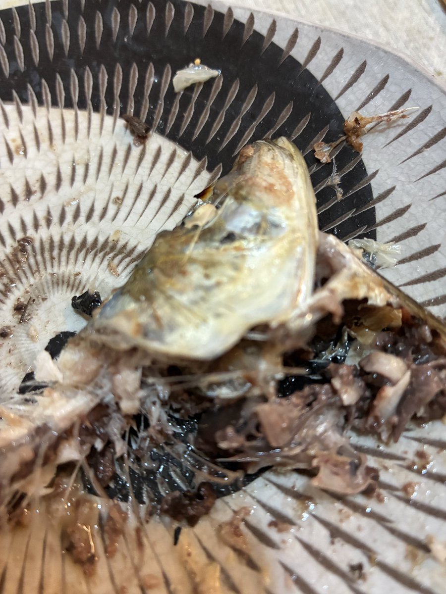 JumpingZamasu's tweet photo. 鰯の頭も信心からってこんな私の食べかすのイワシの頭も誰かの役に立てるざますか？ https://t.co/qtDTbavvWz