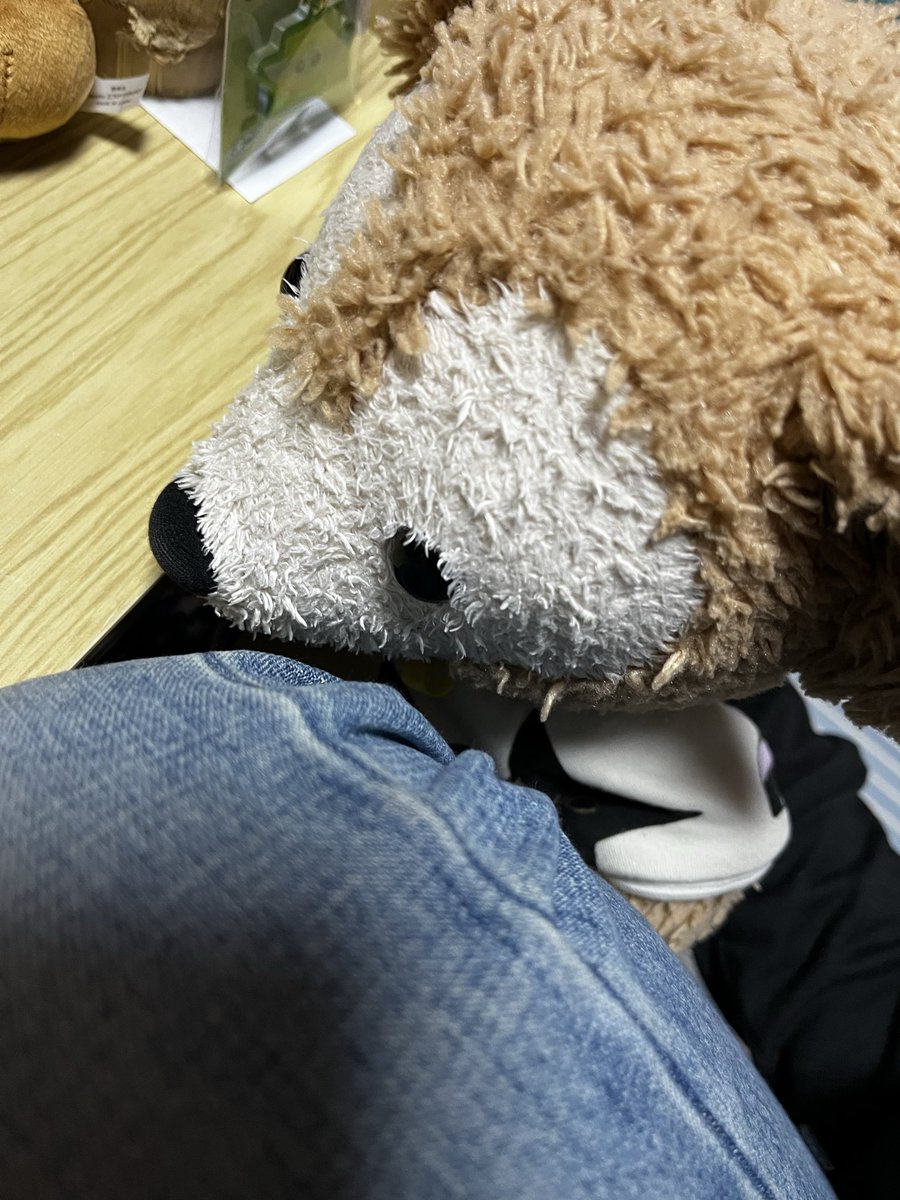 saaponv's tweet photo. 何かを訴えかけるダァ之介。 https://t.co/cPxWuLcBev