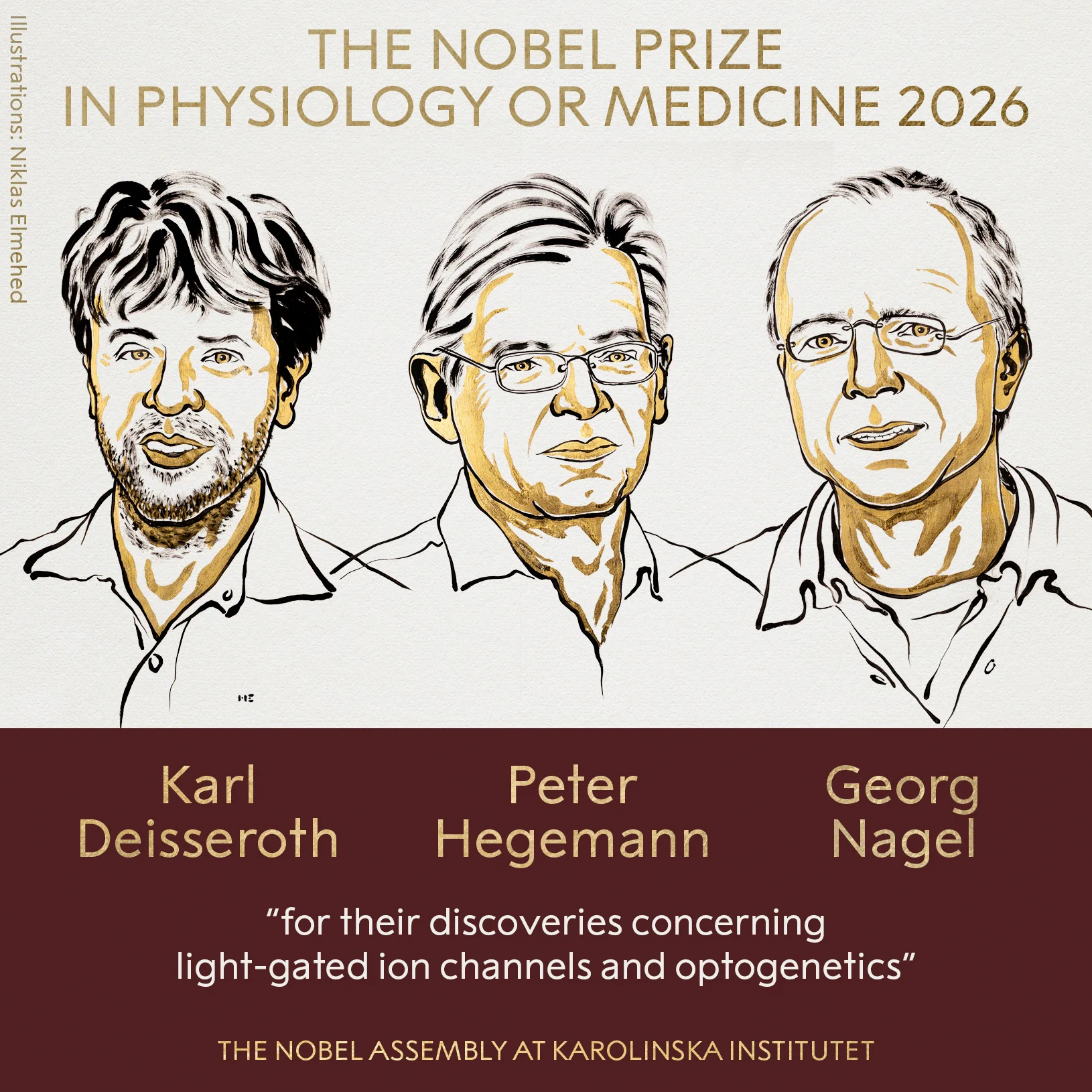 Corta on X: "Karl Deisseroth, Peter Hegemann y Georg Nagel ganaron el  Premio Nobel de Fisiología o Medicina "por sus descubrimientos relativos a  los canales iónicos activados por luz y la optogenética"." /