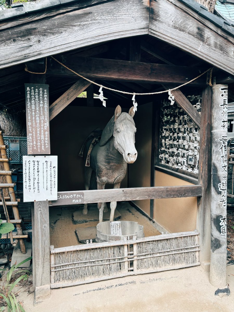 engwmeshi's tweet photo. 行きたかった所で見たかったもの、この目でしっかりじっくり見れて幸せな時間でした… https://t.co/pea5HmexE6