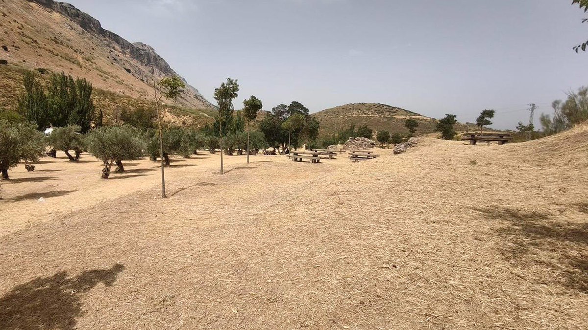 AytoAntequera's tweet photo. ℹ️ Información de servicio público
🌿 Plan Municipal de Desbroce 2026

Actuación: 300.000m2 en barrios y pedanías de #Antequera

📲 Más información:
https://t.co/zE8UaAwdws https://t.co/YkUNI1C5CP