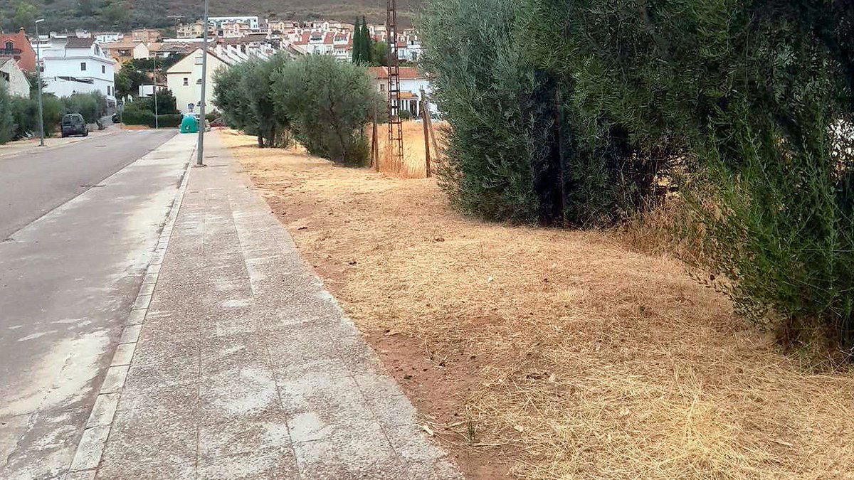 AytoAntequera's tweet photo. ℹ️ Información de servicio público
🌿 Plan Municipal de Desbroce 2026

Actuación: 300.000m2 en barrios y pedanías de #Antequera

📲 Más información:
https://t.co/zE8UaAwdws https://t.co/YkUNI1C5CP
