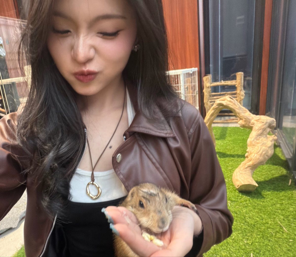 Y_CynthiaJKT48's tweet photo. #Cynin bareng prairie dog dan capybara 🤏 IMUP BANGET SIII INI YAAMPUN andaikan kalian semua capybara 😀😀 https://t.co/9R49GaEJ1l