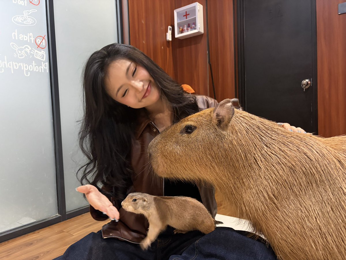 Y_CynthiaJKT48's tweet photo. #Cynin bareng prairie dog dan capybara 🤏 IMUP BANGET SIII INI YAAMPUN andaikan kalian semua capybara 😀😀 https://t.co/9R49GaEJ1l
