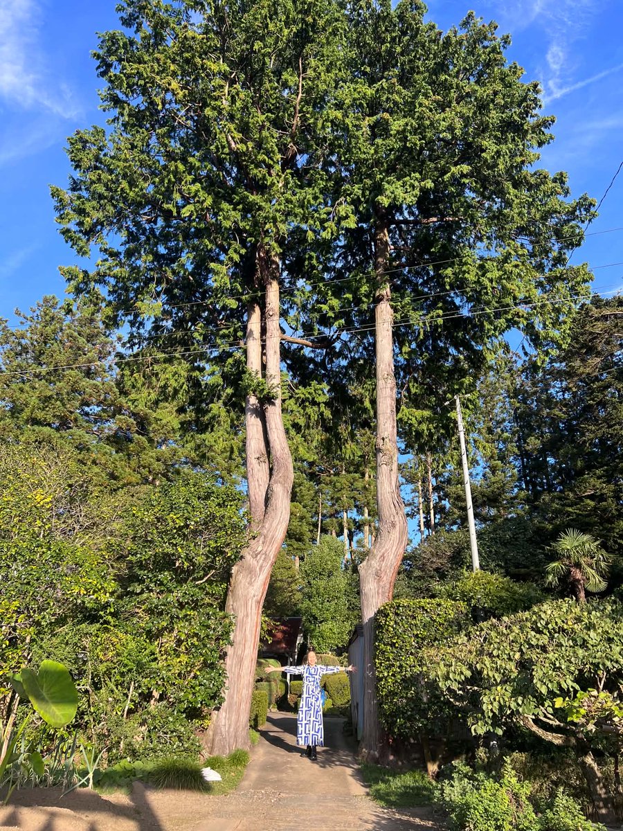 airsea66's tweet photo. 足の神様にご挨拶してきました⛩️国府多賀城駅から徒歩で行ける「荒脛巾(あらはばき) 神社👣靴がたくさん奉納されてました👟🩴 昔の人も今の私たちと同じように「自分の足で歩けること」を大切にしていたのかもしれませんね♪私はレッスンに通ってくださっているみなさまの足の健康を切に願ってきました https://t.co/3XwgPmSrJ2