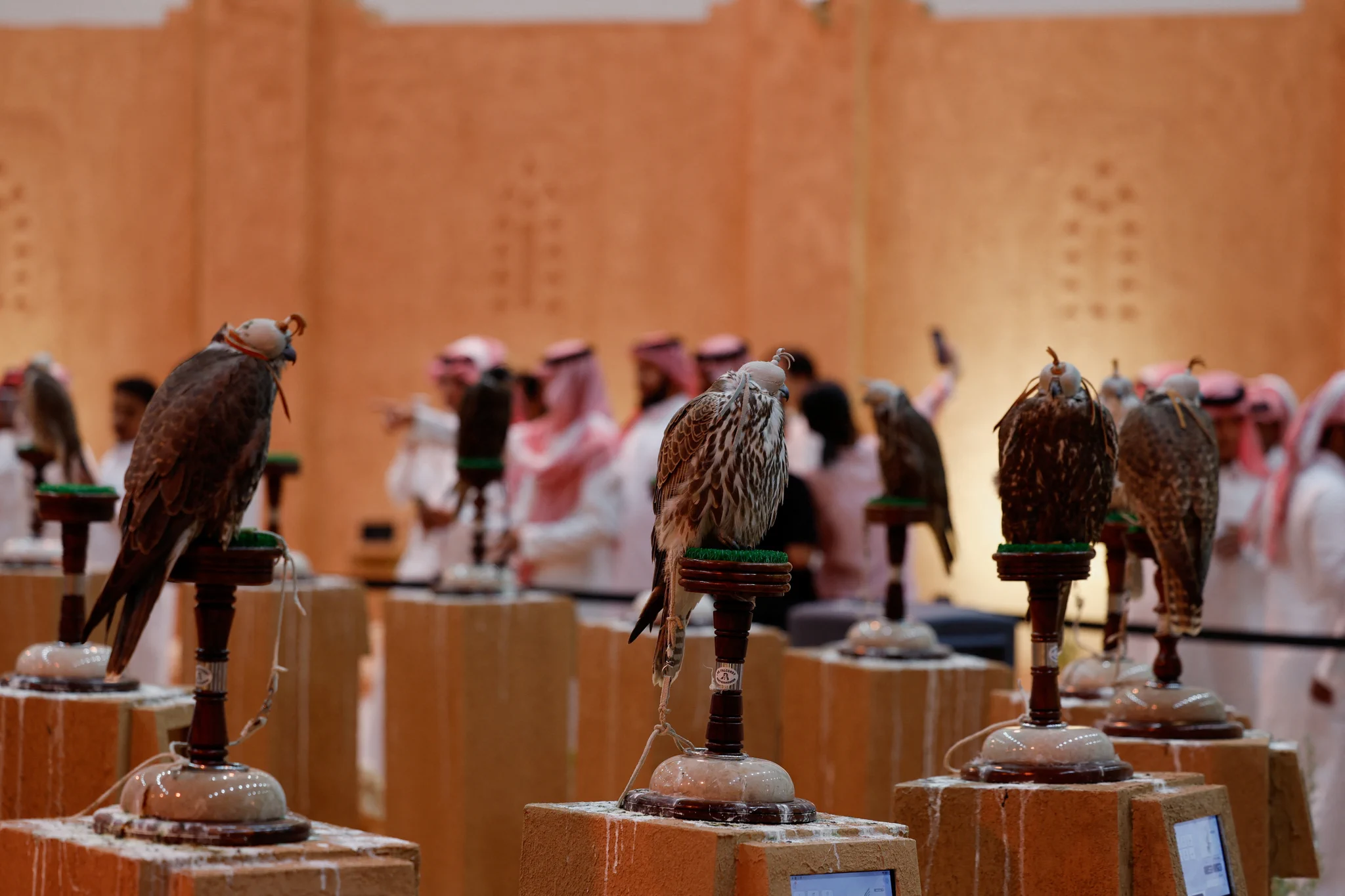 اختتام معرض الصقور والصيد السعودي الدولي 2026