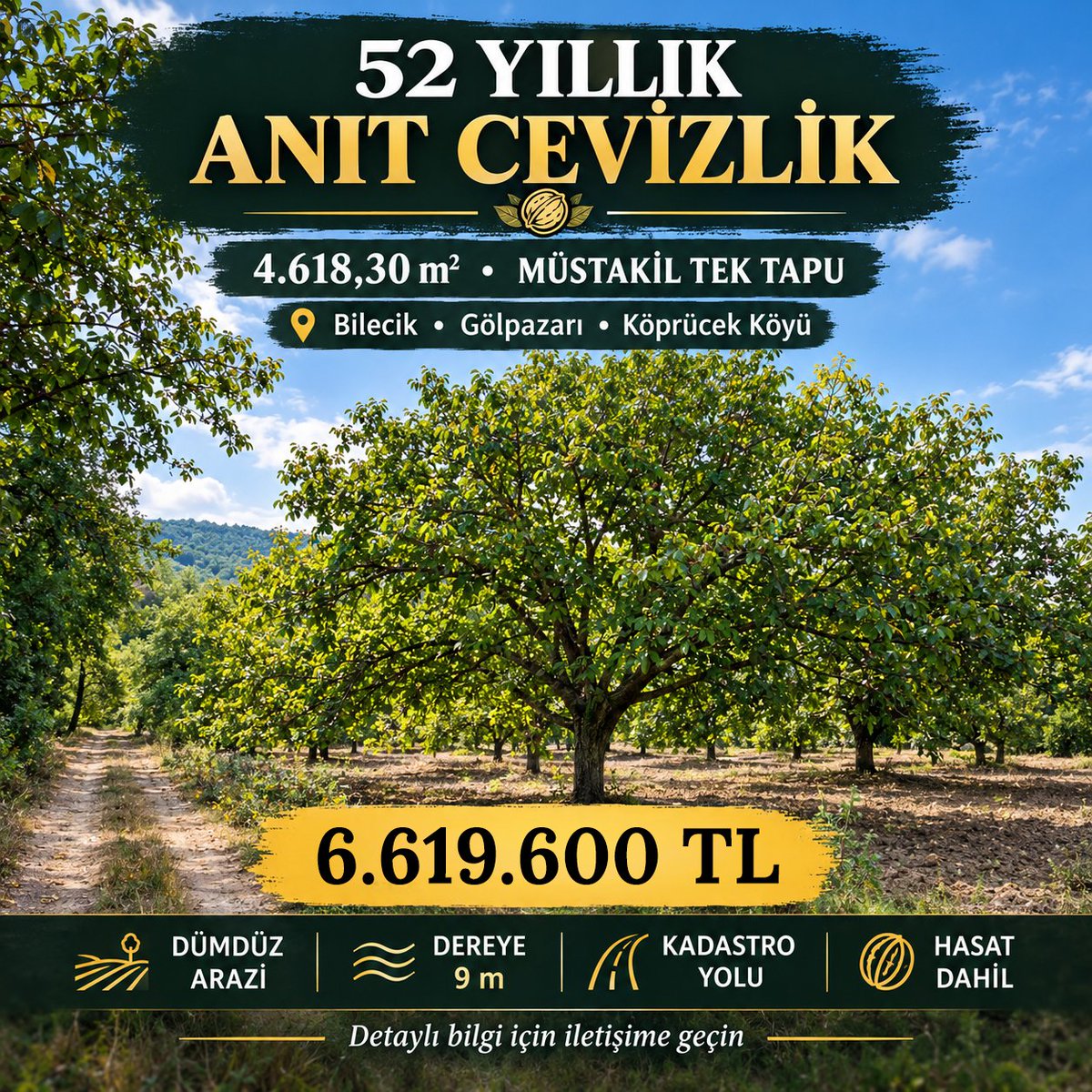 PolatHayrettin's tweet photo. 🌳 52 YILLIK ANIT CEVİZLİK SATILIK

📍 Bilecik / Gölpazarı / Köprücek
📐 4.618,30 m²
📜 Müstakil tek tapu
🌳 52 yıllık ceviz ağaçları
💧 Dereye 9 m
🛣️ Ana yola 30 m
🌿 Dümdüz arazi
💰 6.500.000 TL
📩 Ciddi alıcılar DM'den iletişime geçebilir.
#Bilecik #Gölpazarı #CevizBahçesi https://t.co/shfszvb4GH