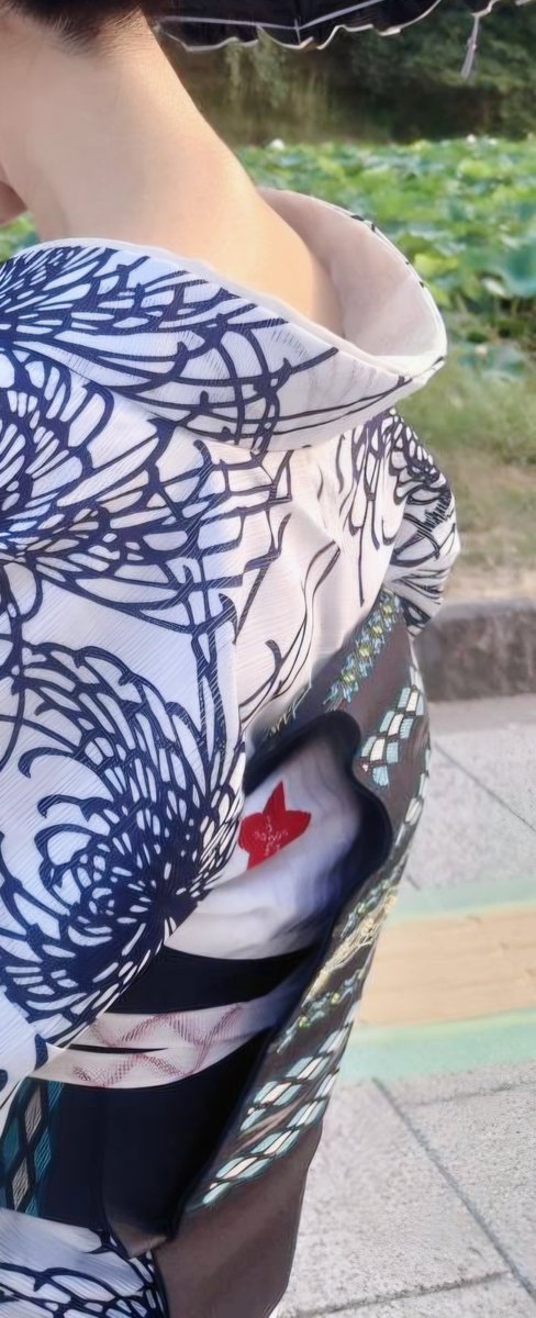 kiseru_155's tweet photo. 骨格診断でいえばtheストレート
超なで肩。体重落ちる前は高畠華宵の書いた婦人画が近いかと。手のふわっとした感じ、鎖骨が無い、上半身しっかりなところ。 https://t.co/UfeUkYGoiY