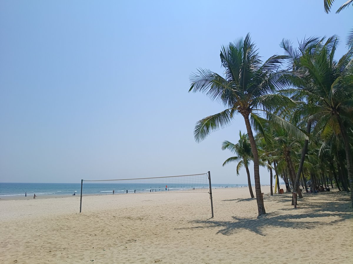 hari_hurler's tweet photo. 晩���のダナンビーチ🌴
ジョギングしてたらカッコいい魚のミイラを拾った。
一体君は誰なんだい？

#DaNang
#Vietnam https://t.co/Wl4BiUEdmT