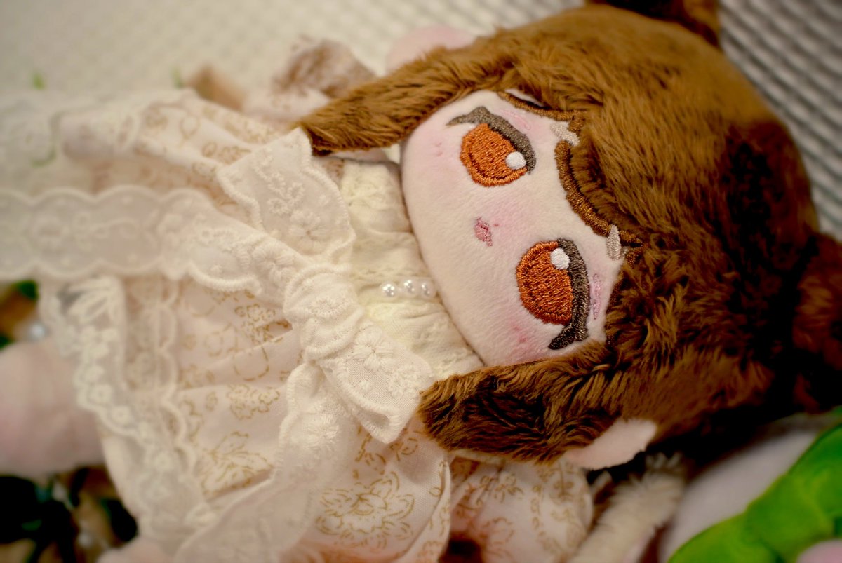 Mu_wen78's tweet photo. ぬいFesで撮らせていただいた、可愛いふわふわちゃんたちの写真🍀
最高に可愛い〜みんな愛されてる顔🥹🤍🤍 https://t.co/aFEDLk8JUP
