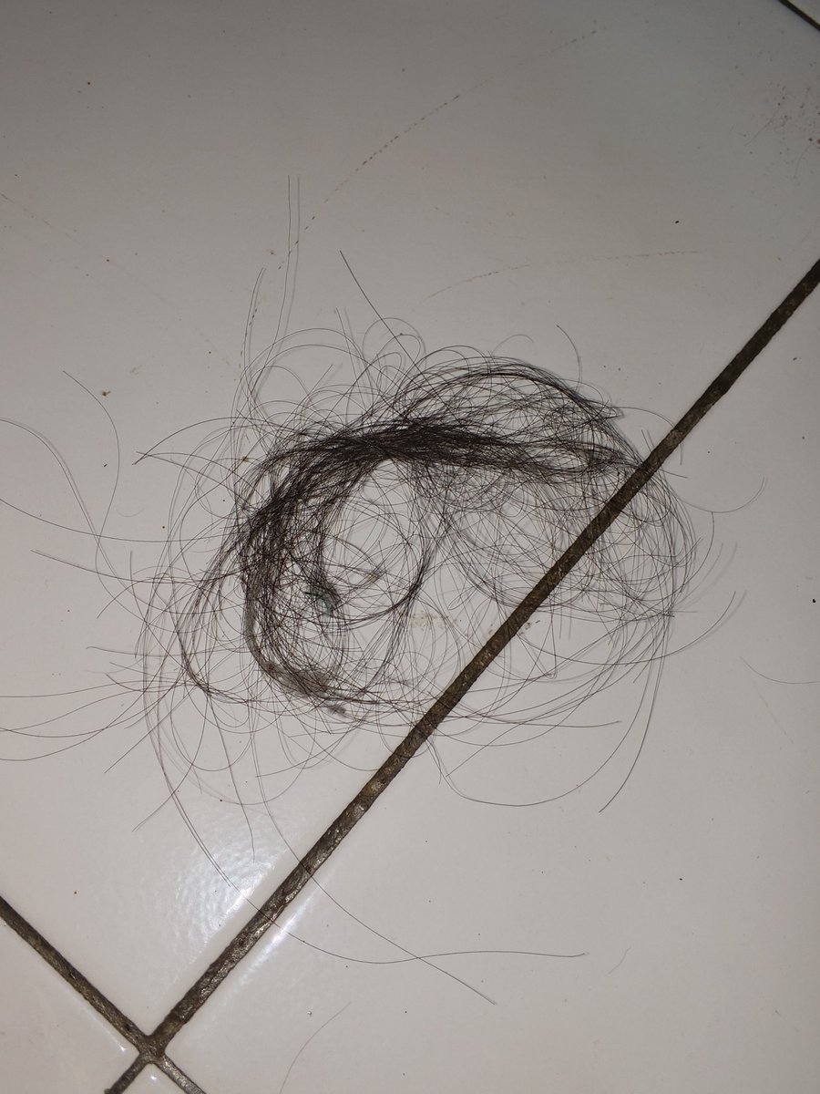 sorbeisun's tweet photo. mau bilang ngga tp kenyataan nya rambut ku dalam sehari bisa se rontok ini #agitkuat #agithebat https://t.co/oZ3YfjkF5d