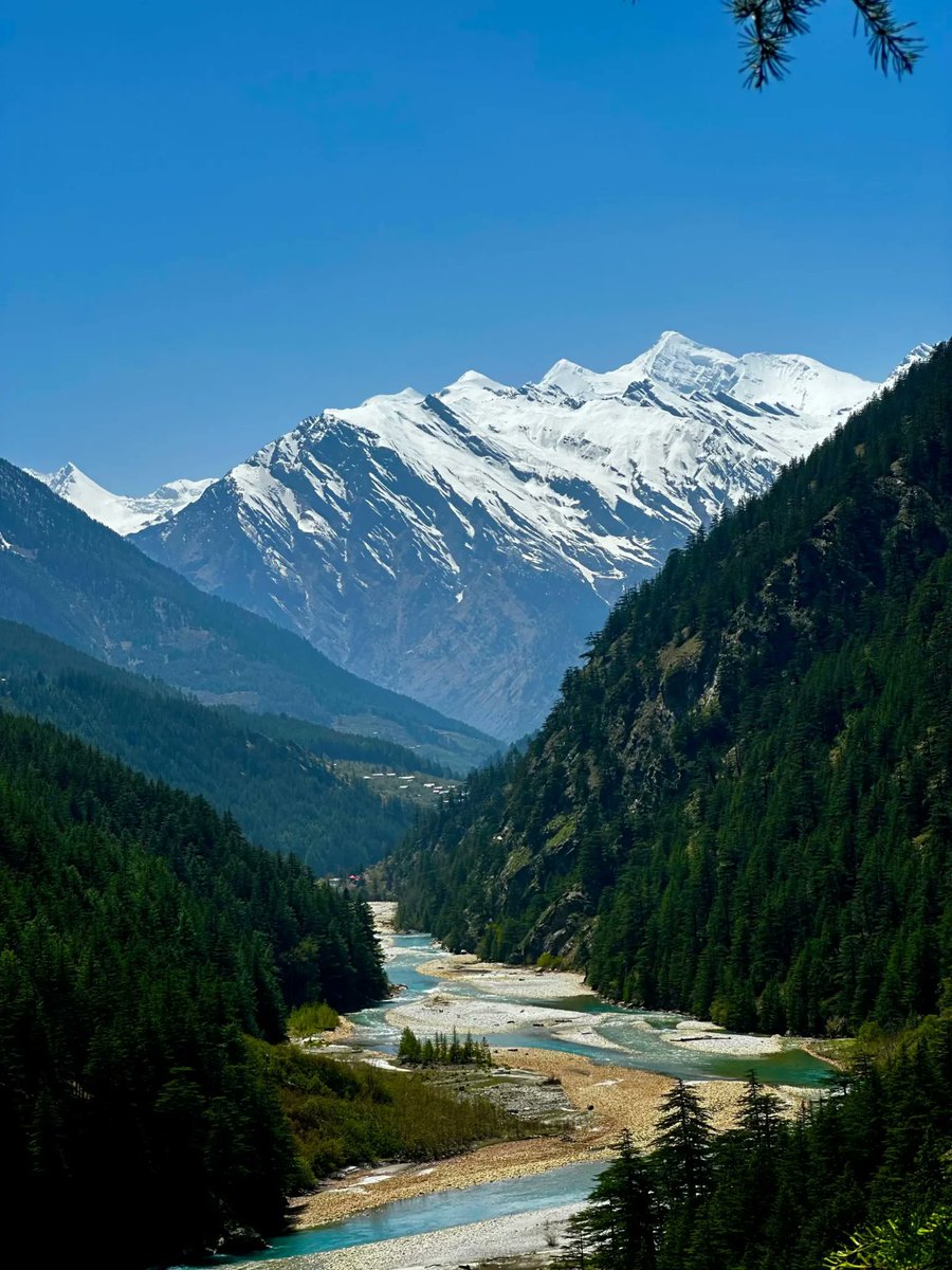 IndiaAesthetica's tweet photo. Crystal clear Bhagirathi river flows through Harsil valley in Uttar Kashi, Uttarakhand ⛰️🌊🏔️🇮🇳 https://t.co/WEMPheA9kJ