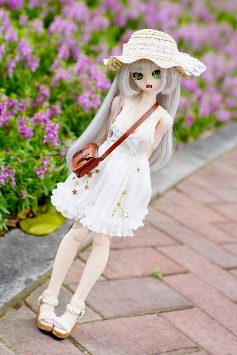 damu_san's tweet photo. #うちのこかわいい https://t.co/sT7D6w77su
