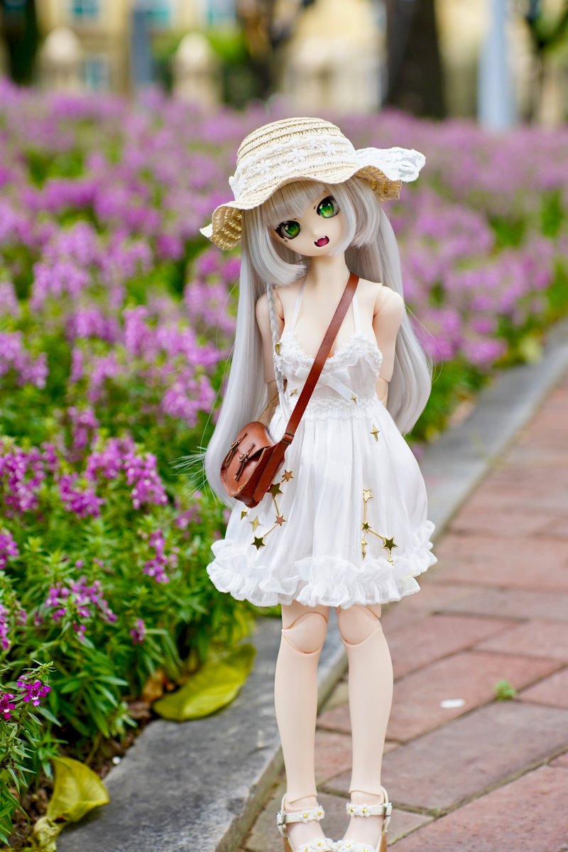 damu_san's tweet photo. #うちのこかわいい https://t.co/sT7D6w77su