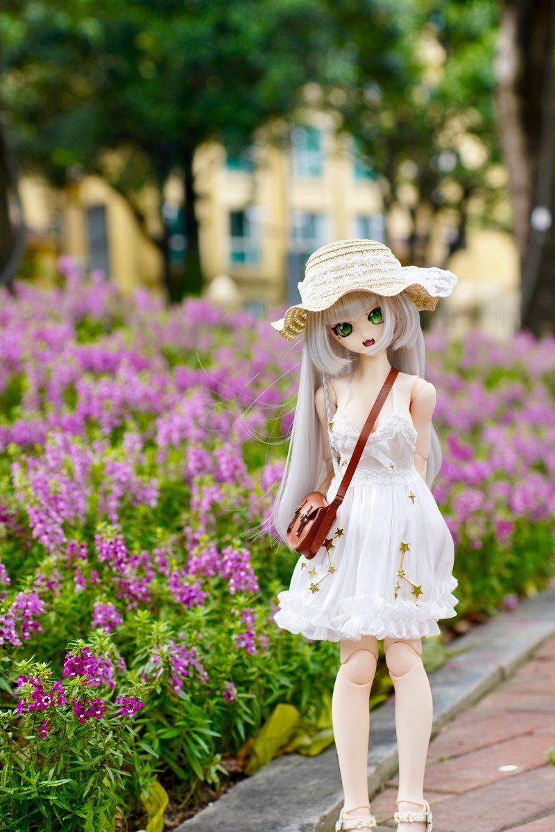 damu_san's tweet photo. #うちのこかわいい https://t.co/sT7D6w77su