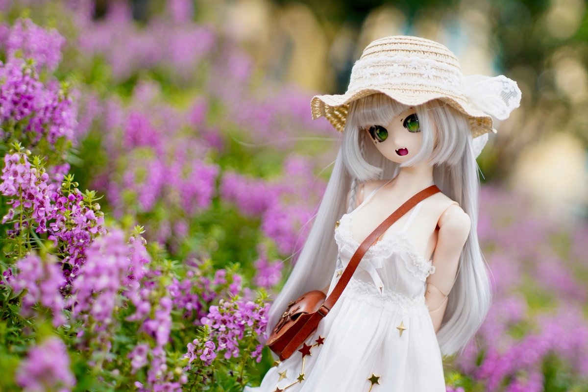 damu_san's tweet photo. #うちのこかわいい https://t.co/pAjQzNeKS5
