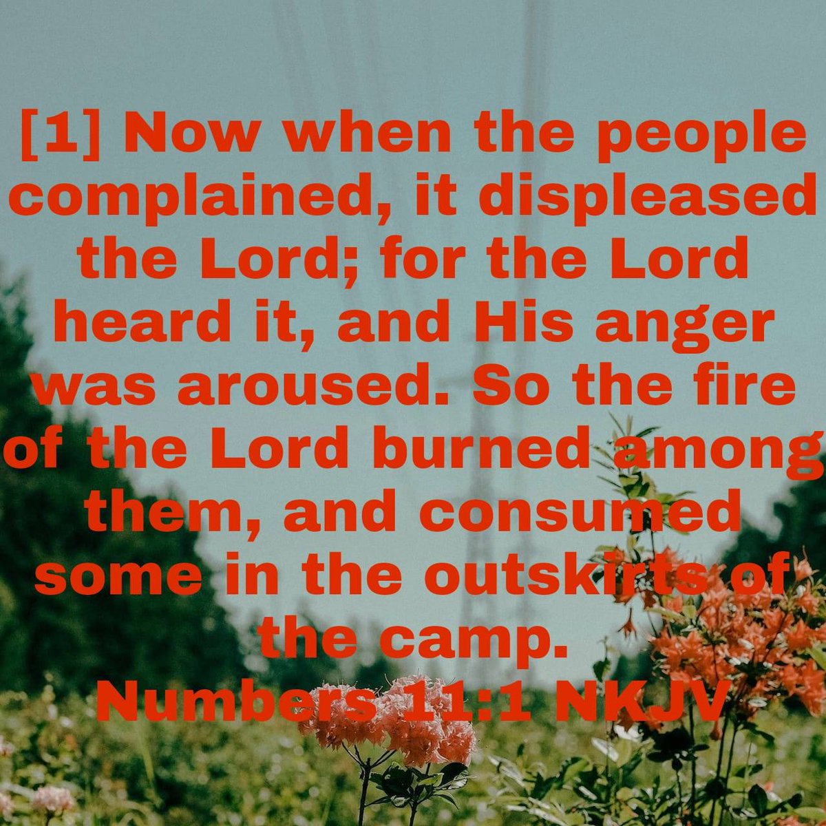 CharlesEdisson's tweet photo. “Now when the people complained, it displeased the Lord; for the Lord heard it, and His anger was aroused. So the fire of the Lord burned among them, and consumed some in the outskirts of the camp. ”
Numbers 11:1 NKJV

https://t.co/rBWCkDUDci https://t.co/o3cYYImESG