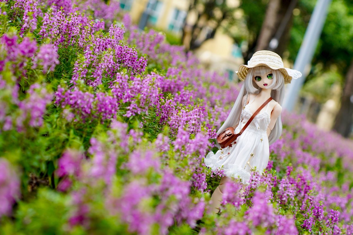 damu_san's tweet photo. #うちのこかわいい https://t.co/pAjQzNeKS5