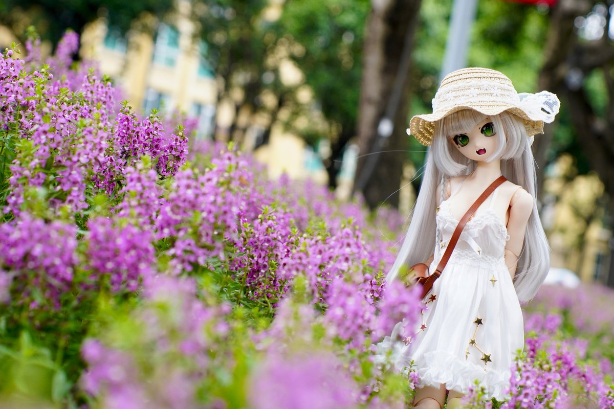 damu_san's tweet photo. #うちのこかわいい https://t.co/pAjQzNeKS5