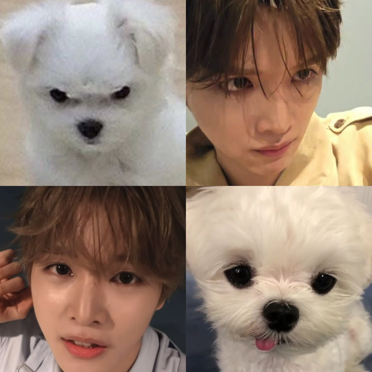 withmyfave's tweet photo. 눈코입배치수준ㅠㅠ https://t.co/VIULiR6Q01