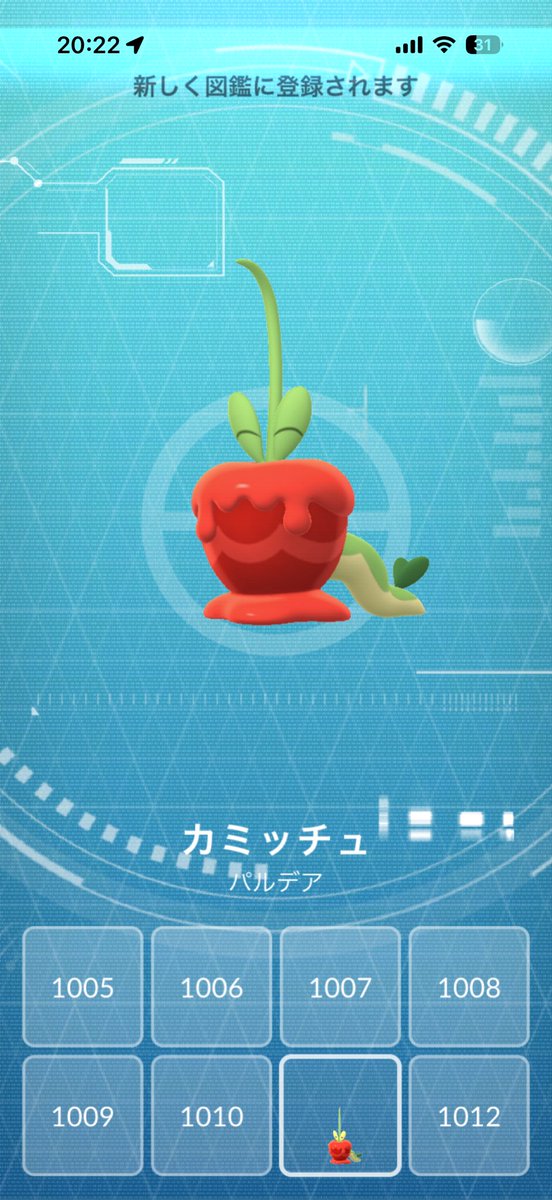 GO39557882's tweet photo. 収穫祭イベント終了！
ミセスグリーンアップルはゲットならずですが、高個体はゲットしたので早速進化！
カミツオロチは後ほど！みなさん収穫祭お疲れ様でした！カジッチュ色違い出た方はおめでとうございます！
#ポケモンGO
#カジッチュ
#収穫祭 https://t.co/sBkG7WPj2x