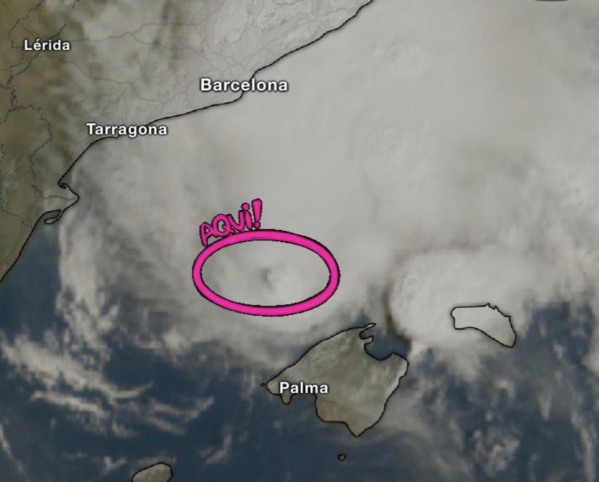 ClimaEBalear's tweet photo. EL MEDITERRÁNEO SE TROPICALIZA? OJO CYCLÓNICO AL LADO DE BALEARES. Esto no es nada normal… Esto es una señal clara de alarma. Que nuestro mar genere con esta frecuencia estructuras híbridas de núcleo cálido capaces de autoorganizarse como pequeños ciclones. https://t.co/0yjSr6B0Z0