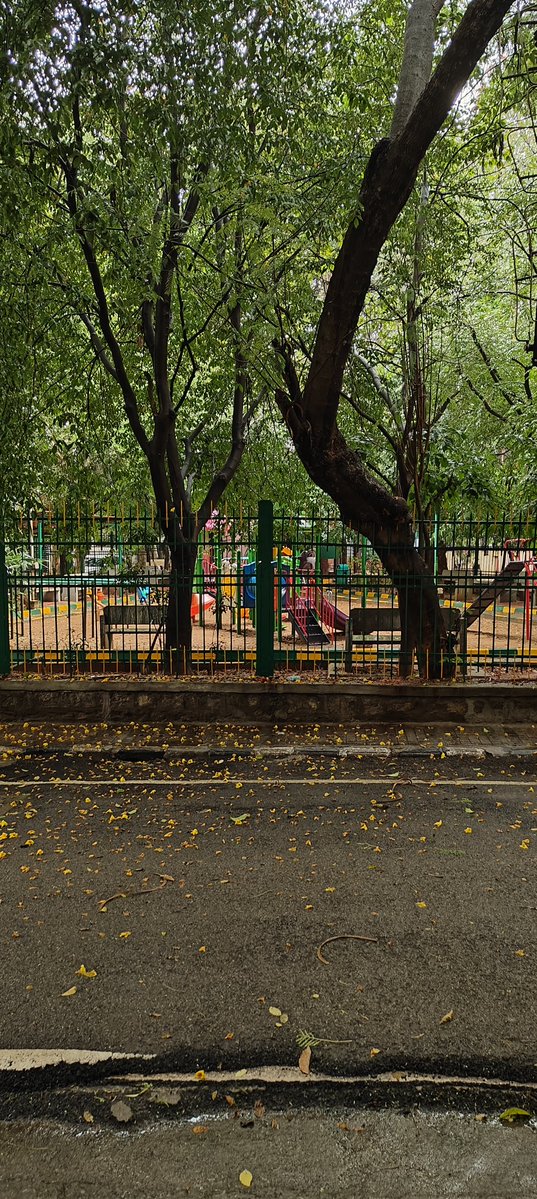 Ayurvedline's tweet photo. Rain has emptied the park of children. The swings hang still beneath the trees. Outside the fence, wet flowers lie on the road. Bengaluru will count the traffic delayed. Who counts the afternoon a child lost?

#Bengaluru #AfterTheRain https://t.co/HzCCC2WGDJ