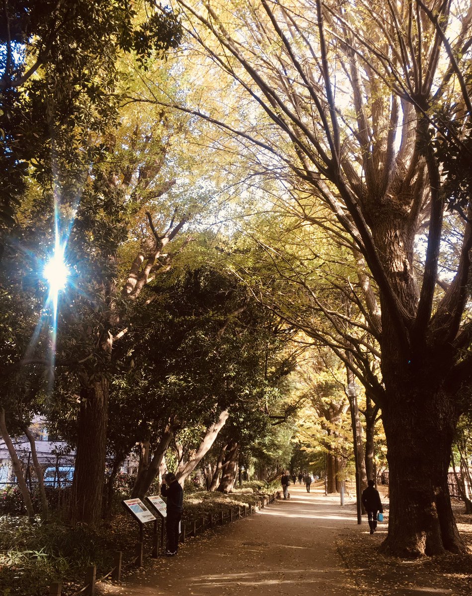 anmicolady's tweet photo. Art Record✨ これまでの自身 作品を見返してみた。画風や色調も少しずつ 変化している事に気がつきました。絵具の重ね方、色彩等 また色々な人々に原画を観て頂ければ幸いです。

#芸術の秋 #絵画  #美術 #アナログ画  
#記録 #春美穂子 #painter #画家 #アートコレクター #絵が好き #マチエール #art https://t.co/RAVxr0R3AD
