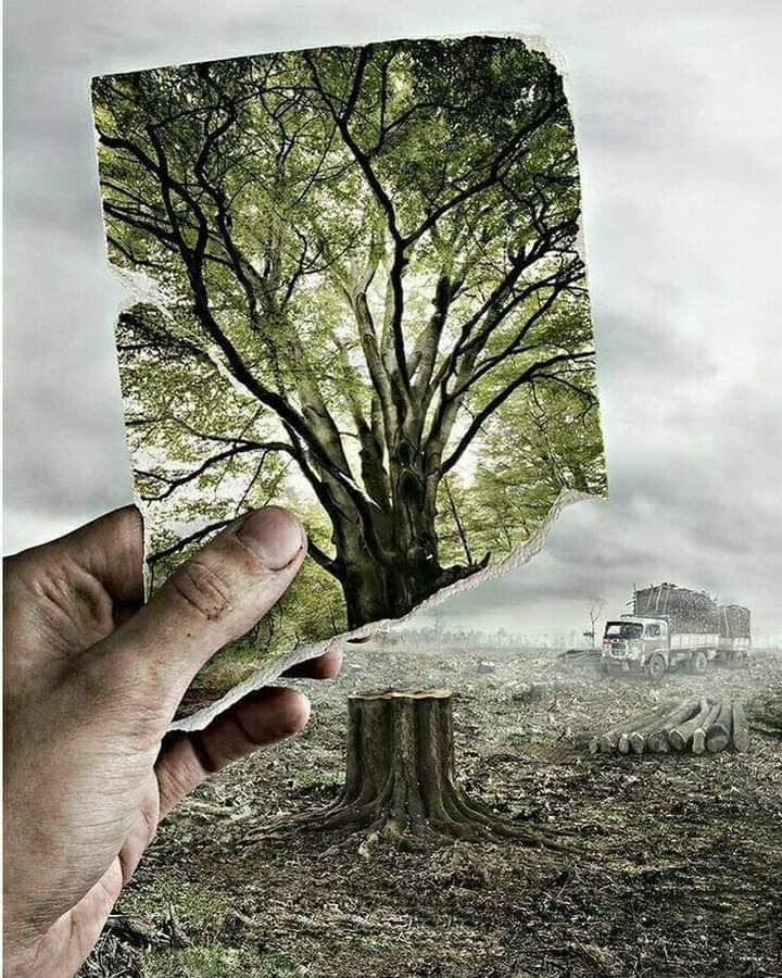 ahlawarrda's tweet photo. *••لا تقتلع الناس الطيبة من حياتك*
 *بسوء أخلاقك•••* 

*••فالطيبون كالشجرة المثمرة•••*
 *••حين يغيبون ، يغيب الجمال•••* https://t.co/4iY2qeKrXm