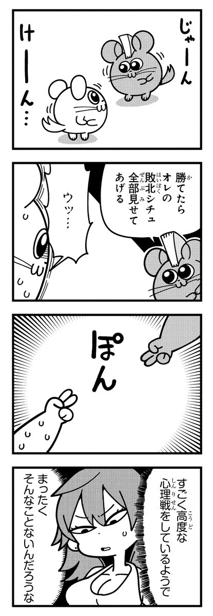 chinchilla_land's tweet photo. https://t.co/hxwQl2MQ8t