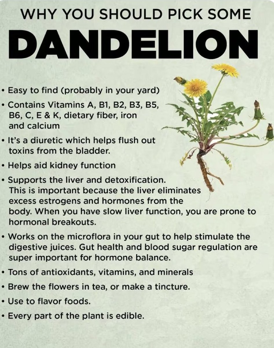 drdenwalker's tweet photo. Benefits of dandelion. https://t.co/bfsO9STKAd