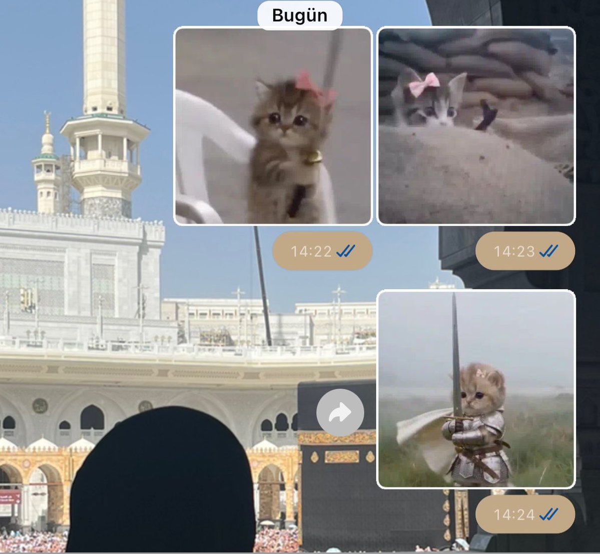 munferit1ben's tweet photo. Hadi daha fazla böyle videolar atınn https://t.co/1IYZ8F4nMK