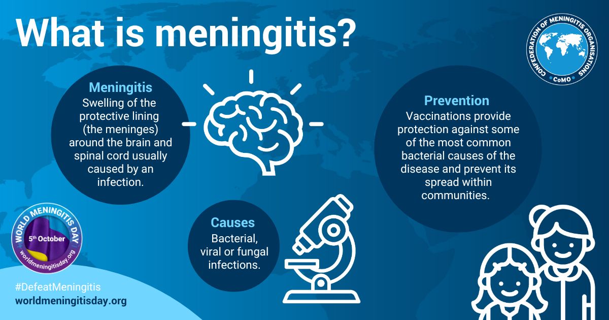 HealthHoco's tweet photo. October 5th marks #WorldMeningitisDay2026! Meningitis is a deadly disease resulting in swelling of the brain and spinal cord, and it can be fatal within 24 hours if not treated immediately. But meningitis can be defeated! 💪 

Read more https://t.co/u4CIiBSRGq 

#DefeatMeningitis https://t.co/fjOkuGhXrx