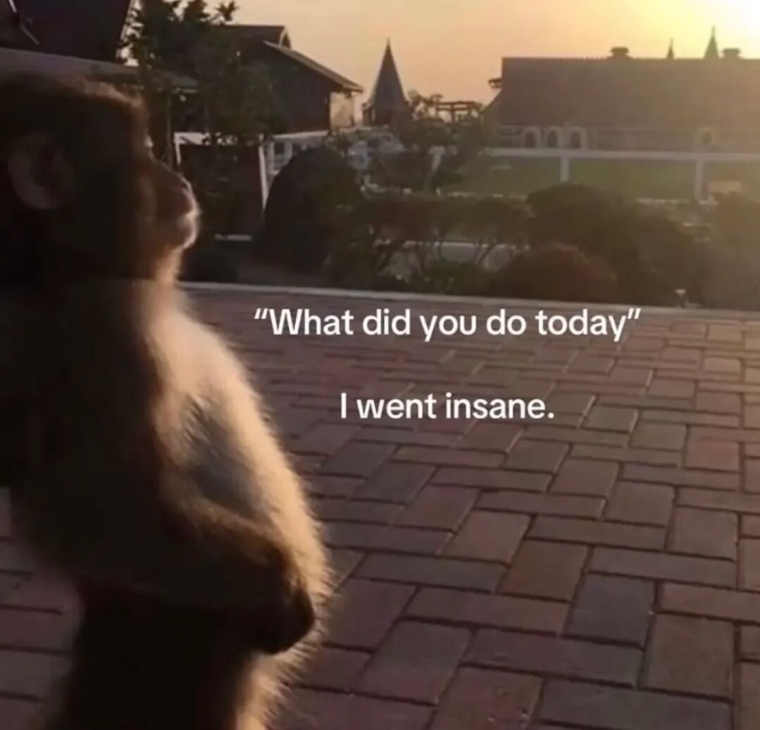 WholesomeMeme's tweet photo. https://t.co/HSuv5unNOc