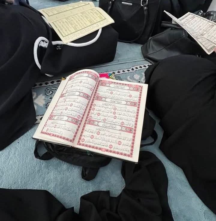 RoaaAboNasser's tweet photo. إن لَم تَكُن مِنَ الصالِحين ، فَلا تُفارِق مَجالِسَهم ، لَعلك تهتدِي..!🌱💚 https://t.co/erRy4VElSb