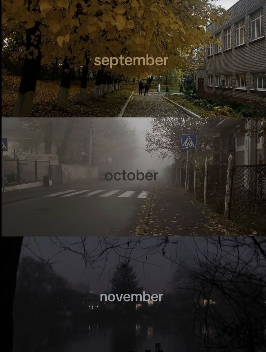 gloomyvisuaIs tweet picture