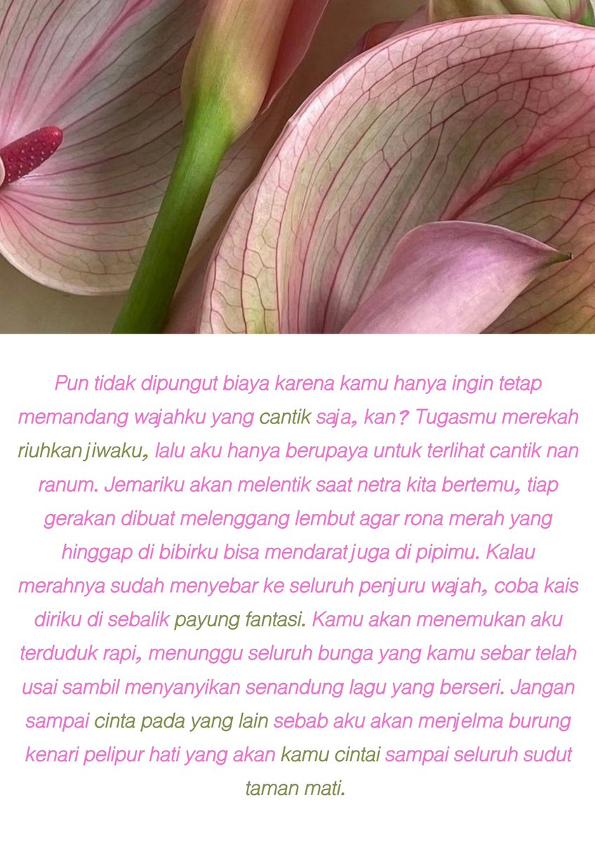 bersennandung's tweet photo. boleh kupandang wajahmu secantik bintang, bolehkah disayang? https://t.co/7wvED4EZD3