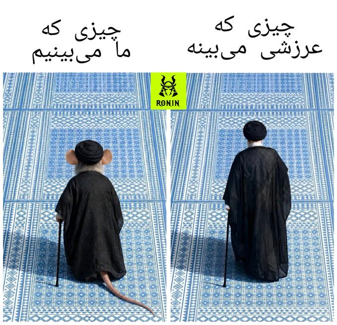 JokerIranAzad's tweet photo. @ham1dr3za1 https://t.co/Np6DxgECEd