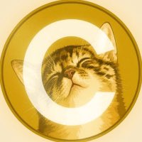 cryptojourneyrs's tweet photo. BREAKING

MY BALLS ARE STILL ON THE TABLE.

TRILLION. DOLLAR. $CATE. https://t.co/s5TVweIQUd
