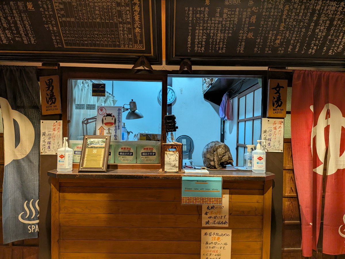 canaco123's tweet photo. 滝の湯♨️
昔ながらの共同浴場。
客引き猫ちゃん😺と番頭さん猫ちゃん😺
『いらっしゃいませ〜🐱』
……ではなく💦、
☔の中帰って来て毛づくろいで大忙し🤣
『今それどころじゃないにゃ😾』
『かまってられないにゃ😼🐾』
『勝手に入るにゃ』😂♨️ https://t.co/XgtbiuLGyU