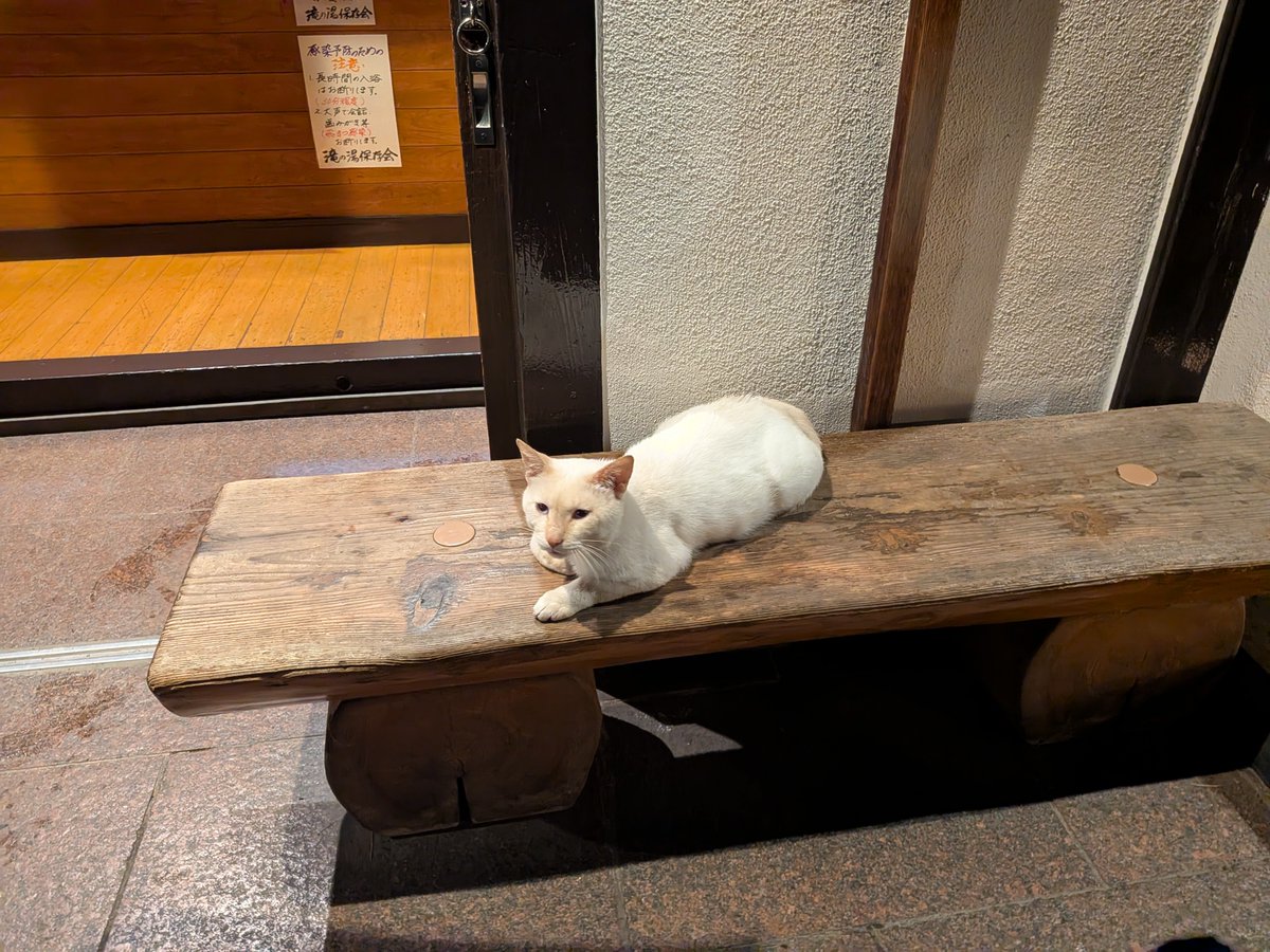 canaco123's tweet photo. 滝の湯♨️
昔ながらの共同浴場。
客引き猫ちゃん😺と番頭さん猫ちゃん😺
『いらっしゃいませ〜🐱』
……ではなく💦、
☔の中帰って来て毛づくろいで大忙し🤣
『今それどころじゃないにゃ😾』
『かまってられないにゃ😼🐾』
『勝手に入るにゃ』😂♨️ https://t.co/XgtbiuLGyU