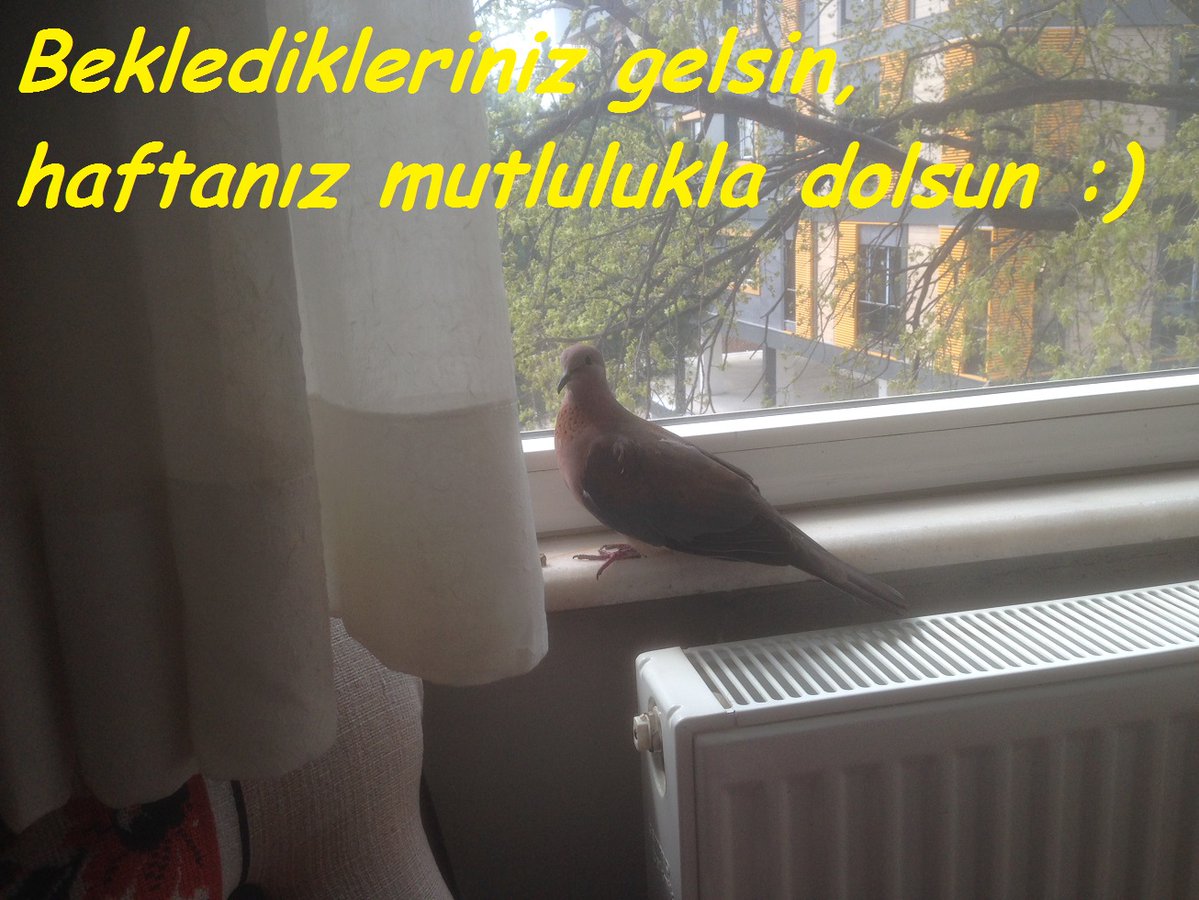 sedranum's tweet photo. ''Bütün insanlar sever ama sevmenin ağırlığını kaldıramaz, pes eder. Bütün insanlar sevilir ama sevilmenin kıymetini bilmez kaybeder.''

Kaybetmediğiniz sevgi dolu haftanız olsun... https://t.co/9QlNHRbVlx