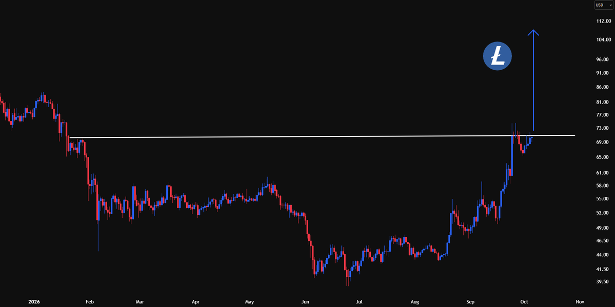 Minimilian84's tweet photo. $LTC GOD CANDLE loading here. https://t.co/8FPEao7QLz