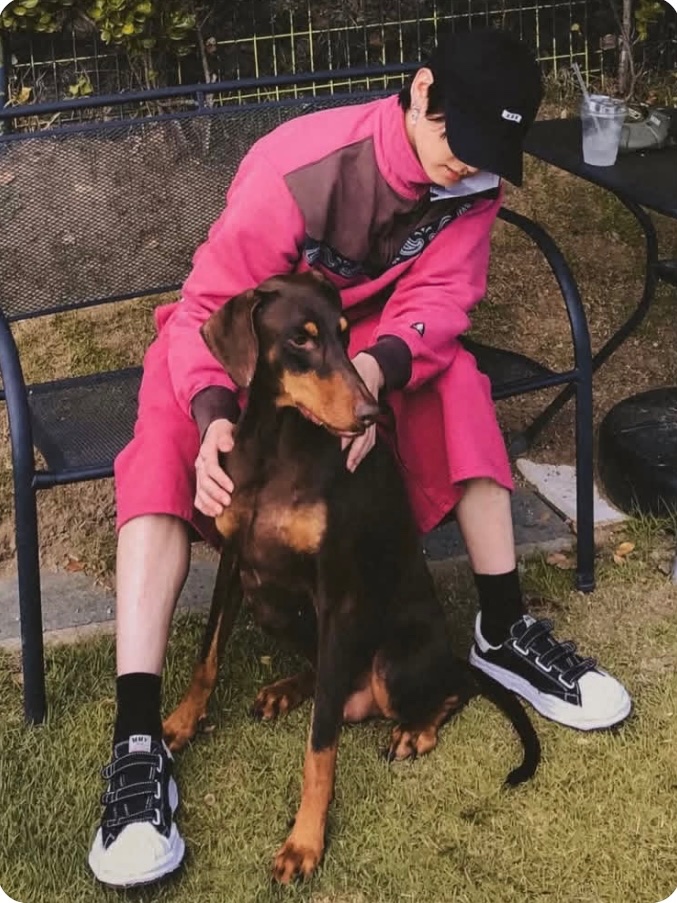 ku6osuguri's tweet photo. BAM🐾パパに甘えて良かったね🥰
ワルツ🌎の合間にBAM🐾に会いに😭
胸筋、上腕二頭筋以外ウエストと
膝下は細いジョングクが可愛い(*´`)
って見てたらBAM🐾もパパと同じで
愛おしい🥹 https://t.co/lkCiFDBuVx